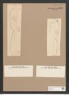 Pleurosigma sp. (de-Toni-Nr.: Genus 17 ?, Species 1153 ?) Zeichnungen Sammlung Grunow Nr. 2155 (NHMW-BOT-W0369206)